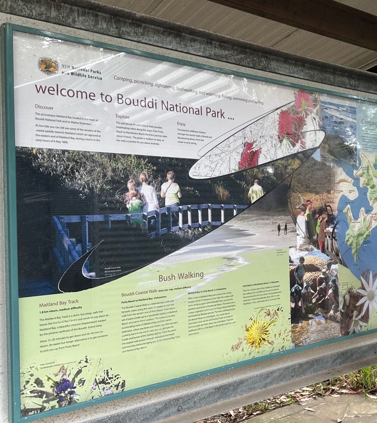 A Short Australien Bush Walk to Clear the Mind