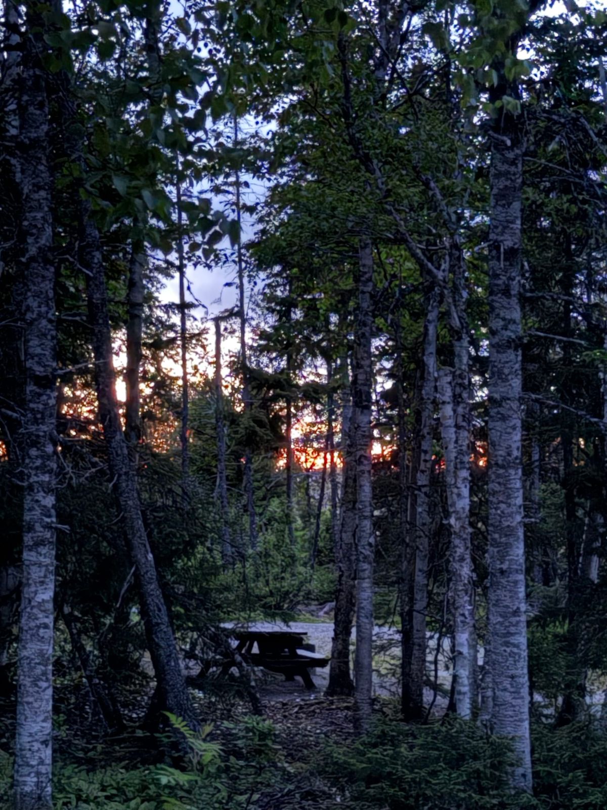 Terra Nova National Park