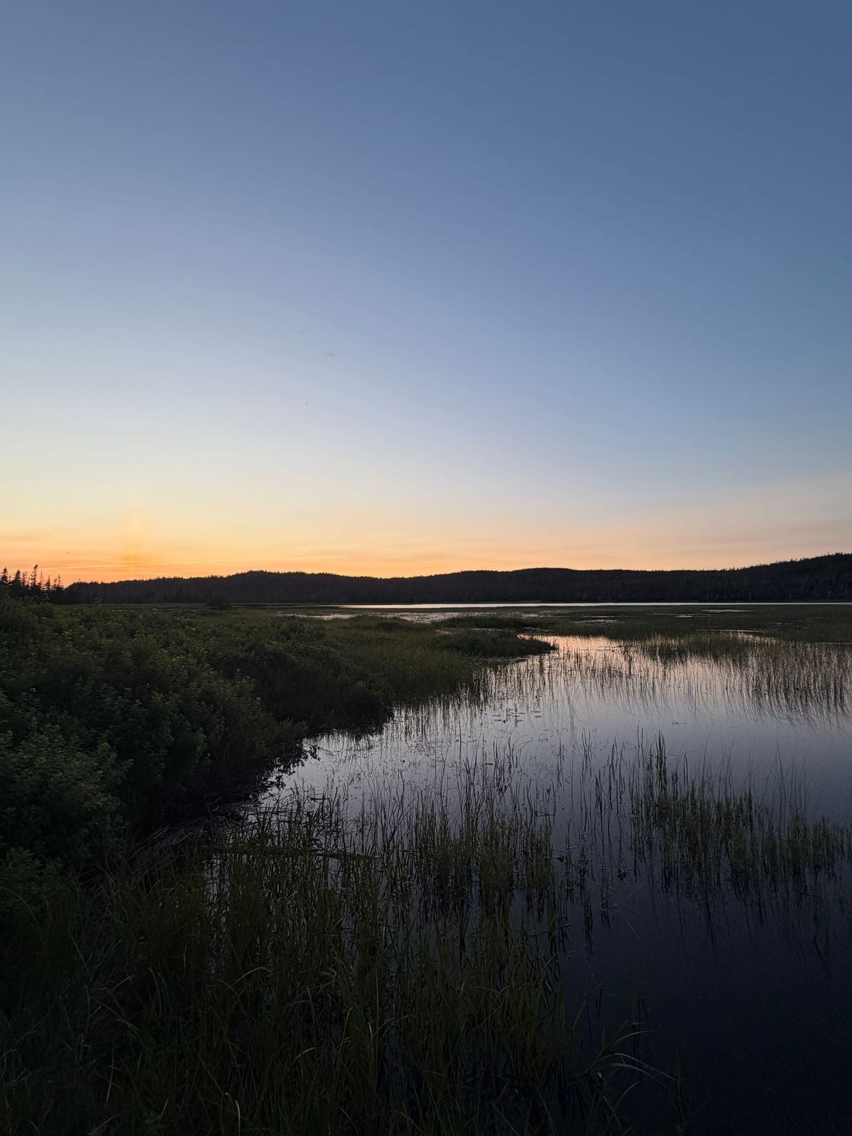 South of St. John’s