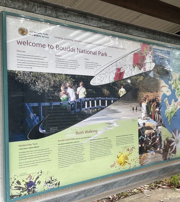 A Short Australien Bush Walk to Clear the Mind