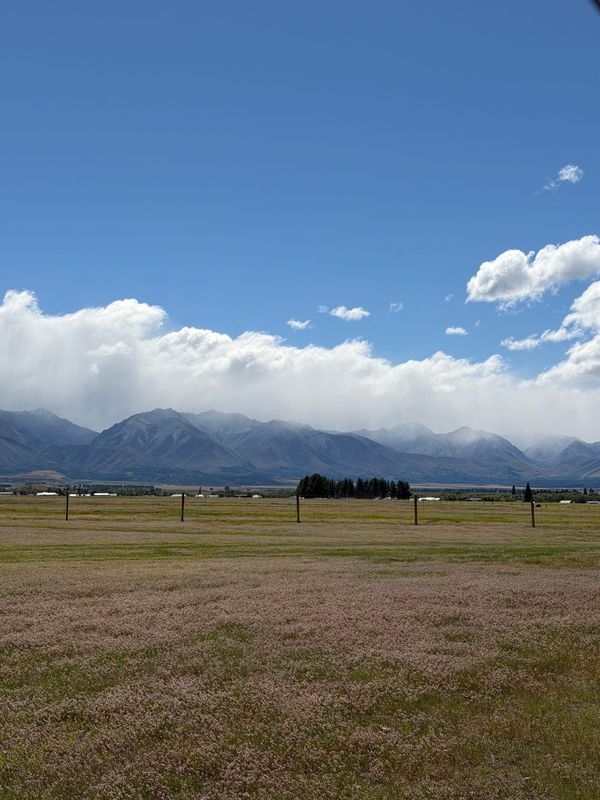 Twizel