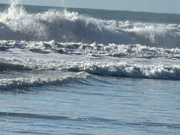 The Trip to Blenheim