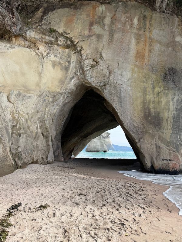 Whitianga - Coromandel Peninsula