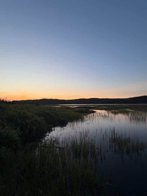 South of St. John’s