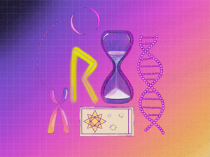 Upon Which We Lay the Cards