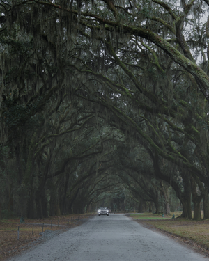The Boo Hag - A Feminist’s Travel Guide Through Southern Folklore