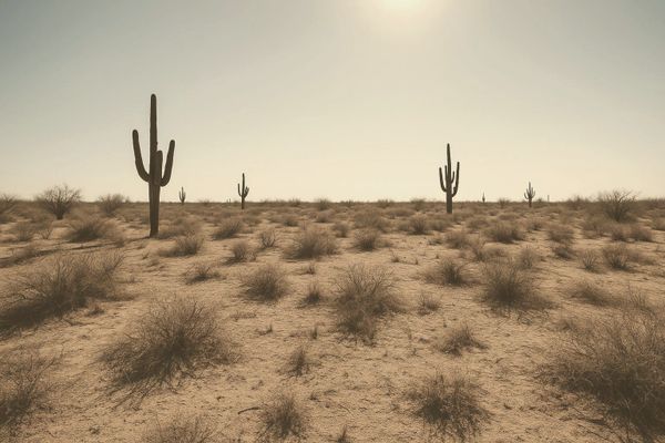 Maricopa County Parks Fire Ban Takes Effect May 1 Amid Drought