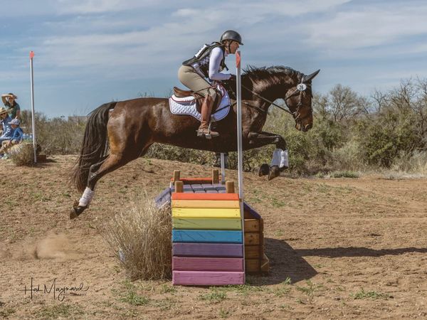 of an empty covered equestrian arena at dawn, sandy floor raked smooth, wooden rail fencing, warm overhead lighting, no peopl