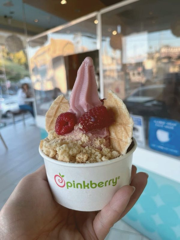 of a swirl of frozen yogurt in a white cup topped with dark chocolate shards and pistachio crumble, warm studio lighting, no