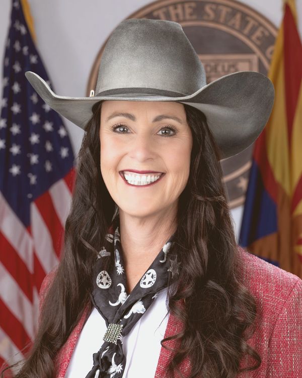 Scottsdale's Werner Finishes Second in Arizona Lawmaker Effectiveness Rankings as Session Ends With 151 Vetoes. Sen. Carin…