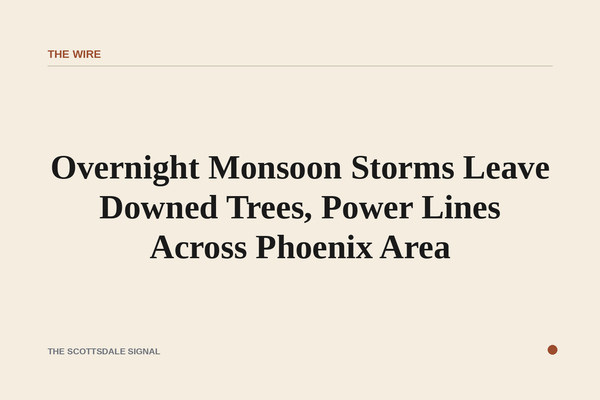 of a desert wash swollen with muddy water after a storm, Sonoran Desert scrub in the foreground, dark monsoon clouds breaking