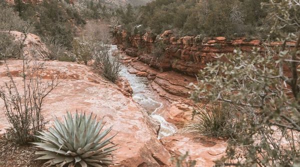 Oak Creek canyon at midday, red rock walls reflected in shallow clear water, no people, no signage