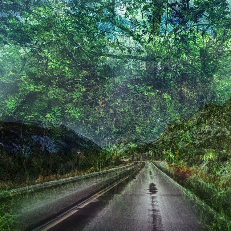 The Road Is An Ecological Trap: An Interview with Ben Goldfarb