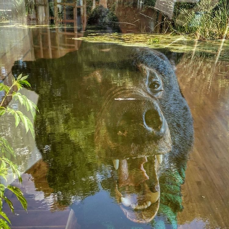 The Heat Death Classic™ Halloween Spooktacular