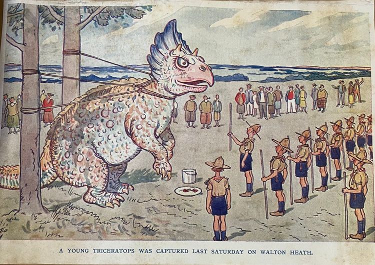 The Paleontologist's Scrapbook