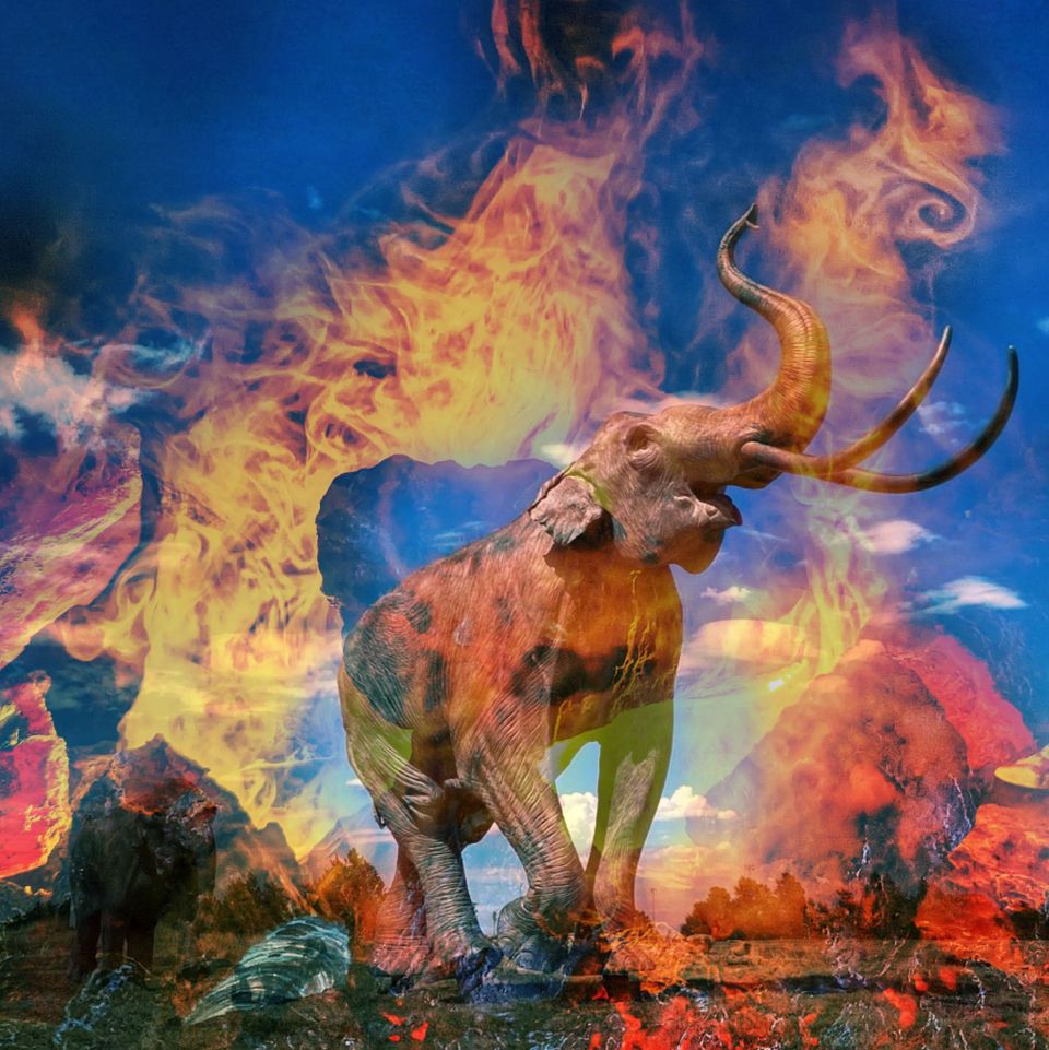 How To Cook A Mammoth