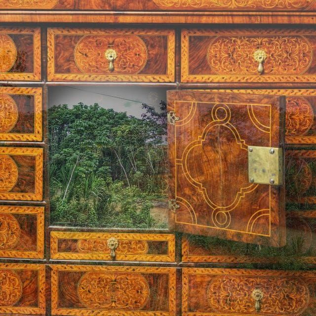 Return of the Cabinet of Curiosity