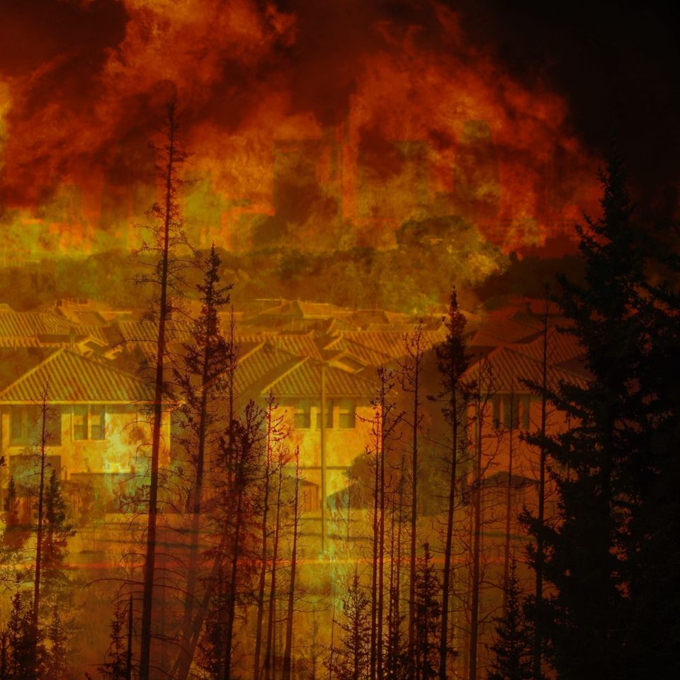 The Suburbs Sprawl on a Grave of Wildfire