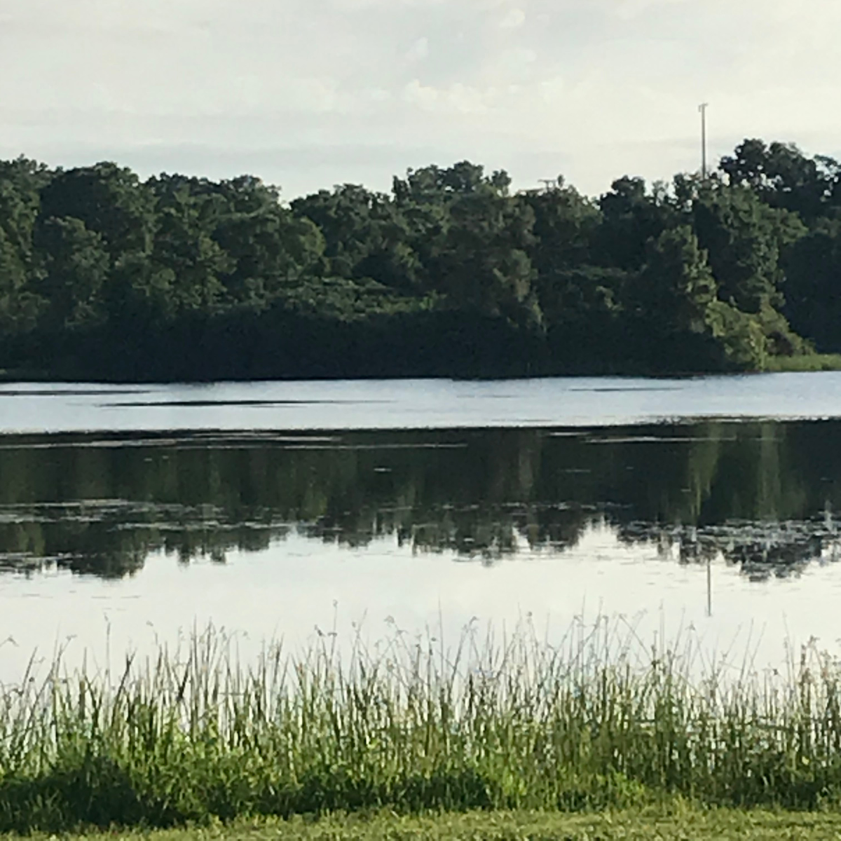 A calm lake with reflections of trees along the shoreline. Tall grass and green lawn are visible in the foreground under a partly cloudy sky.
