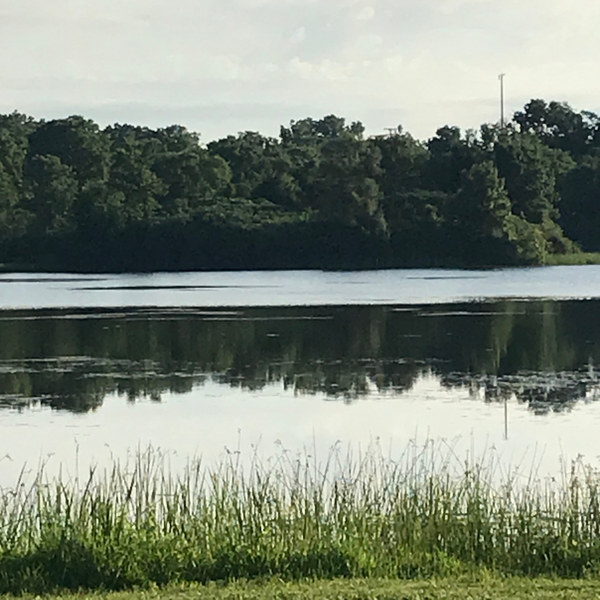 A calm lake with reflections of trees along the shoreline. Tall grass and green lawn are visible in the foreground under a partly cloudy sky.