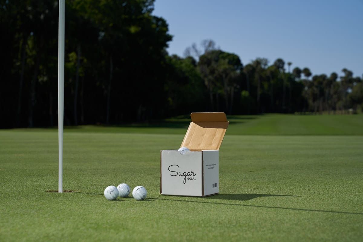 Golf driver on tee - Best Budget Drivers Under $300 in 2026