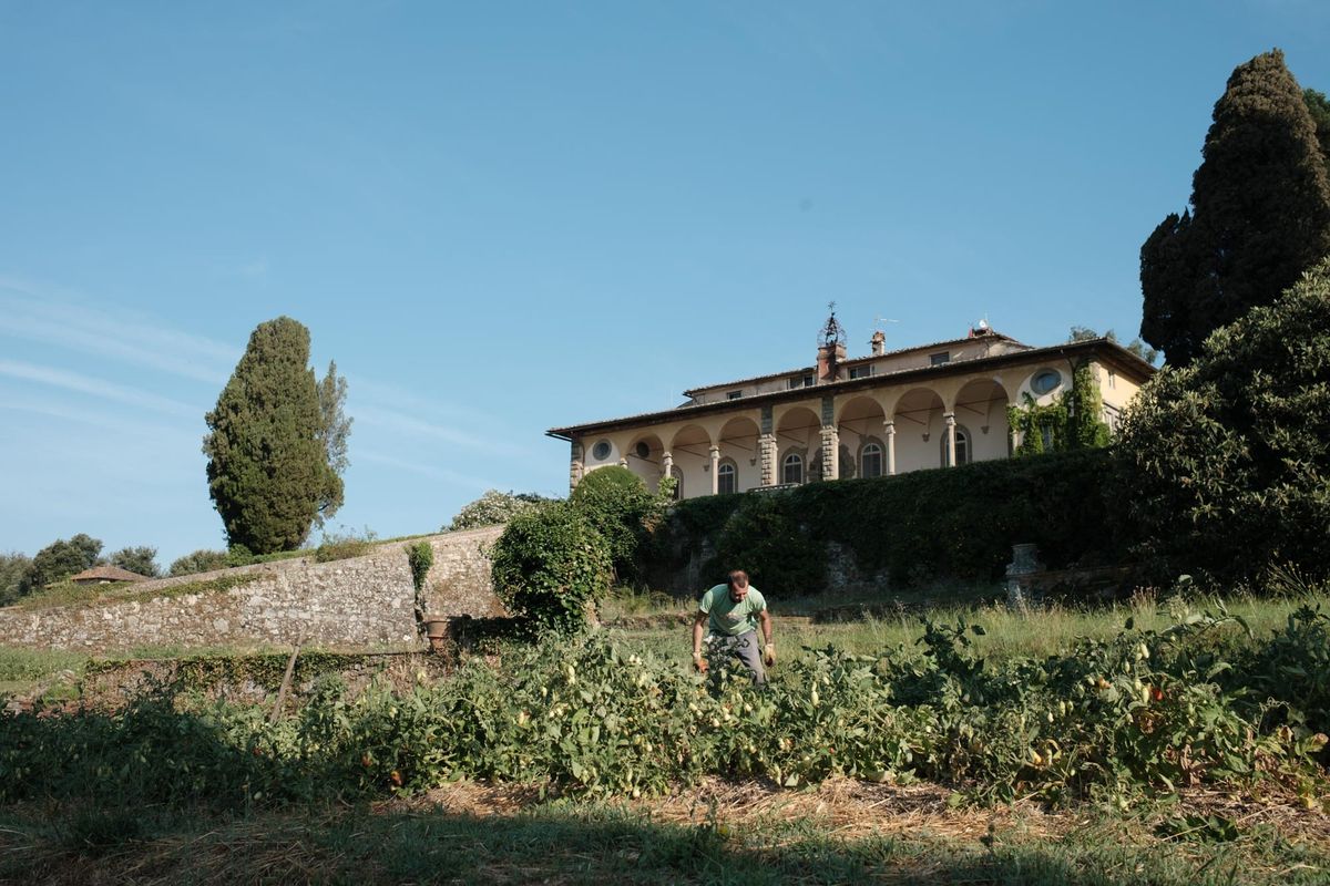 Première montagne — First Mountain