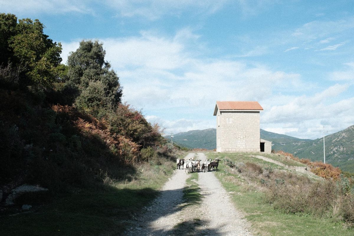 Vers le Nord — Going North