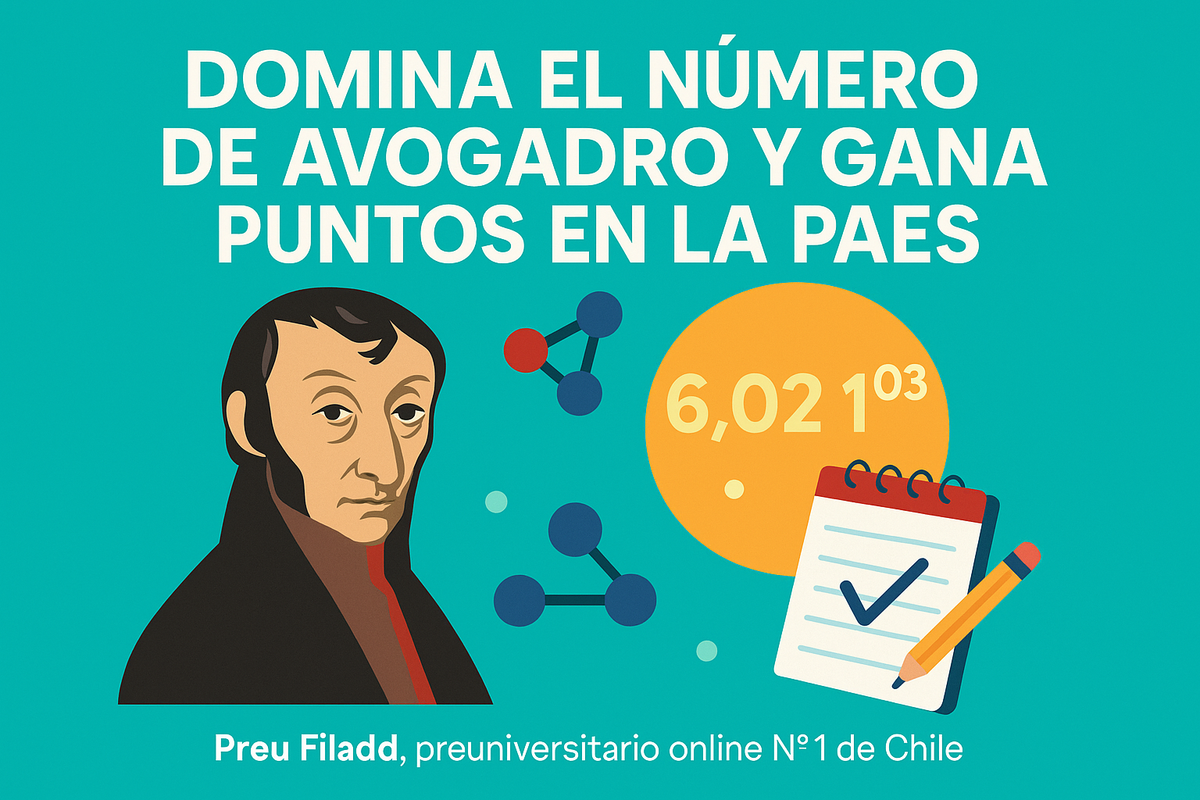 Guía completa para entender el número de Avogadro PAES
