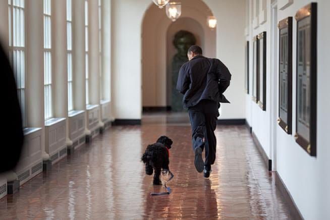 President Obama jogs along the White House east wing alongside a do