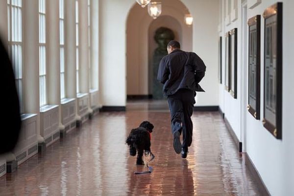 President Obama jogs along the White House east wing alongside a do