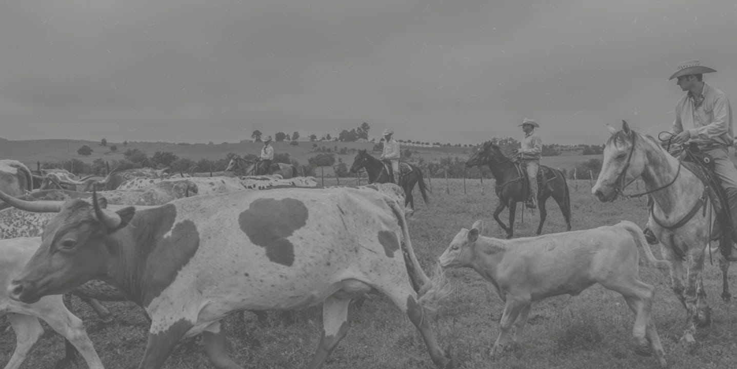 Radius Butcher & Grocery