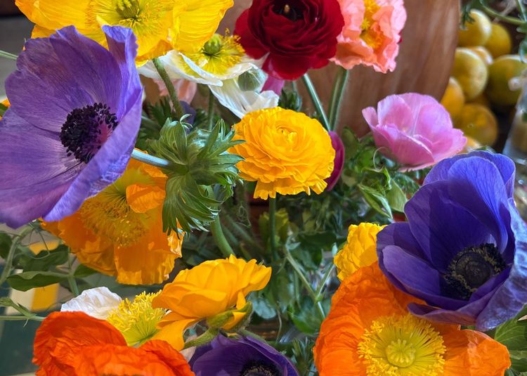 Spring Holiday Pre-Orders: Lamb, Ham, and Brisket