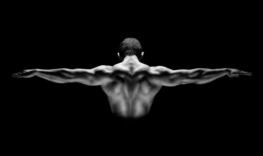 What Are The Independent Body Composition Changes from Exogenous Testosterone?
