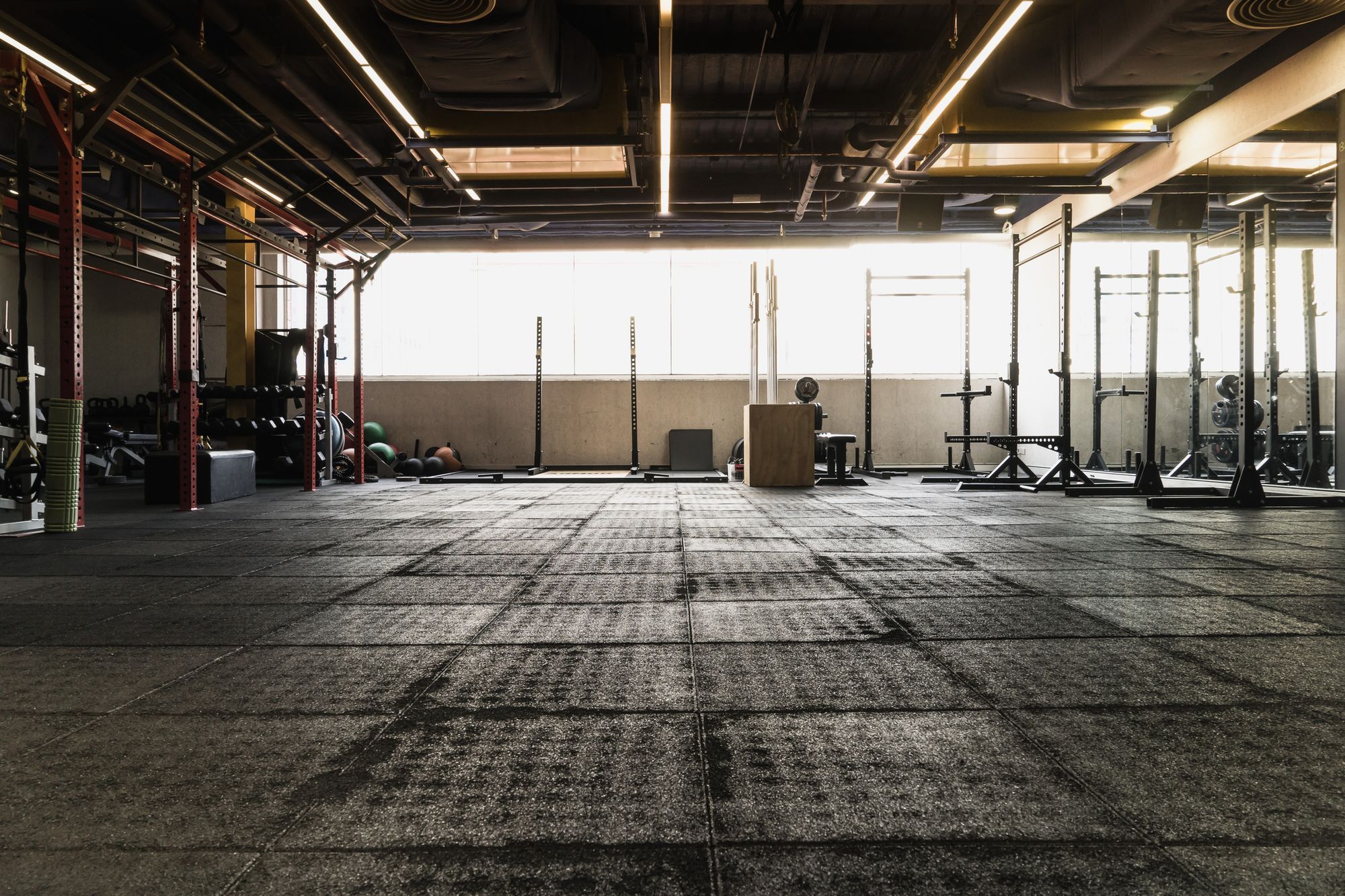 Can You Gain Muscle With Low Testosterone?