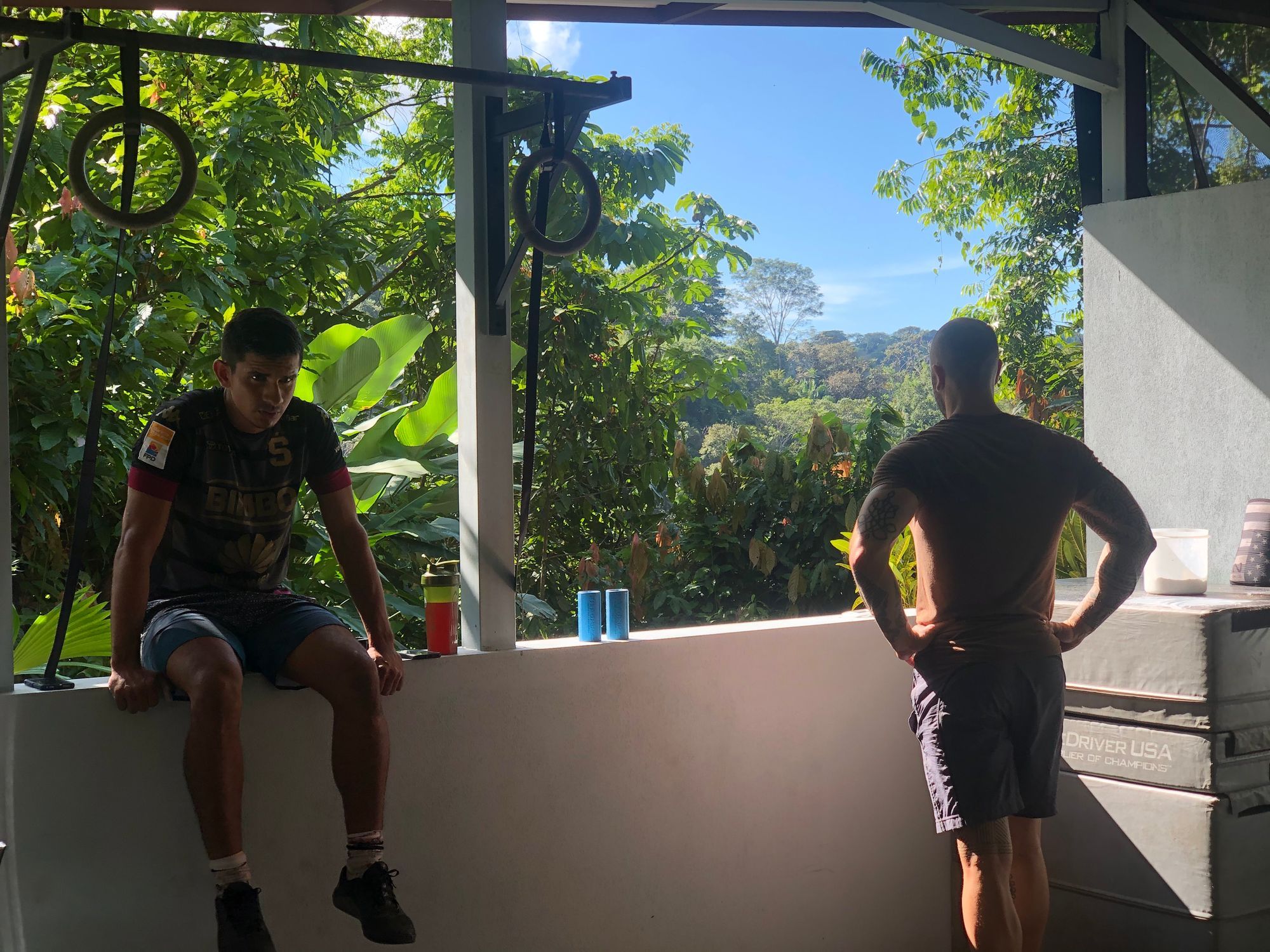 Can Highly Trained Individuals Recover From 4 Hard Sets Per Muscle Group in 24 Hours?