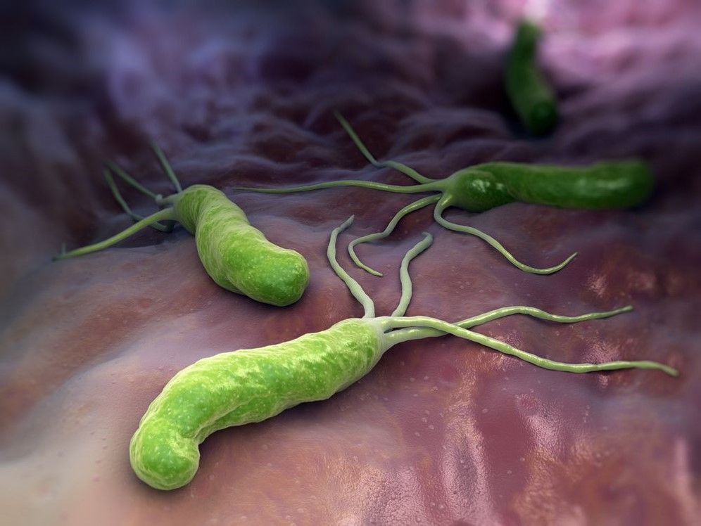 How Do You Measure Gut Health And When Is It Even Warranted with Dr. Lucy Mailing and Dr. Tommy Wood