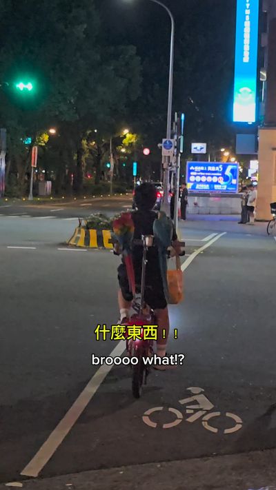 In Taiwan, parrots ride bicycles
