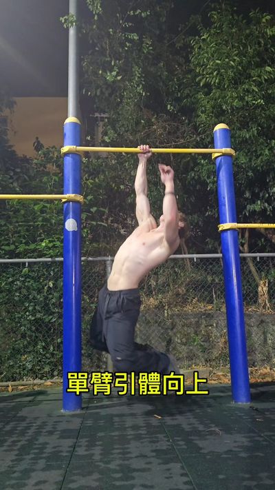 I did a one-arm pullup!!