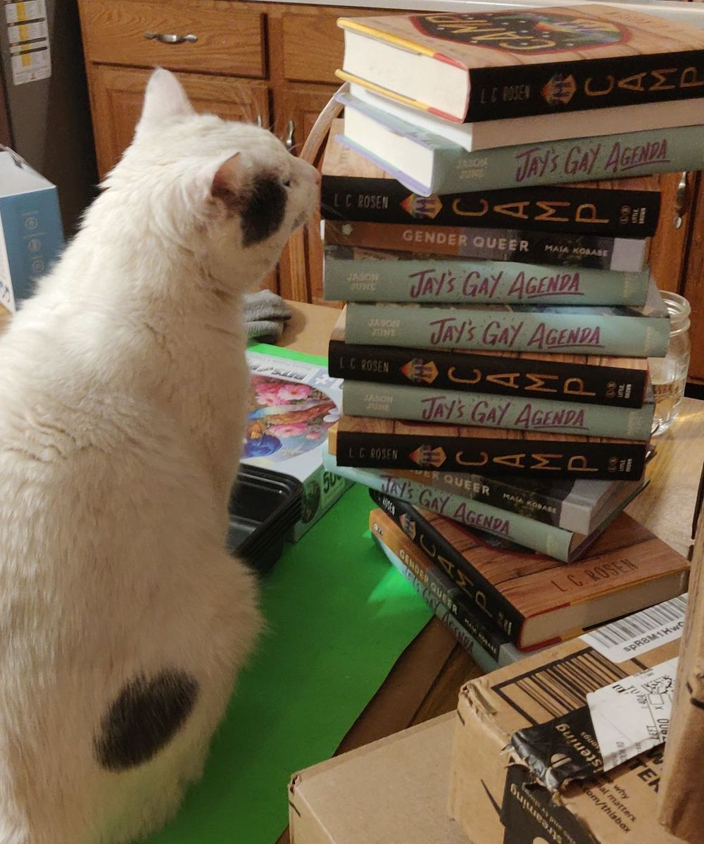 Book Challenges in Massachusetts