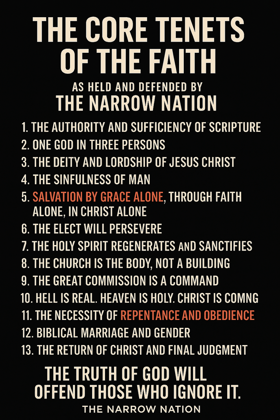 What is The Narrow Nation