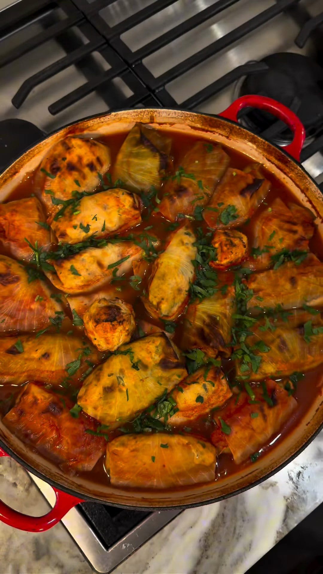 Overhead view of browned stuffed cabbage rolls in tomato sauce, scattered with chopped herbs, in a red Dutch oven on the stove