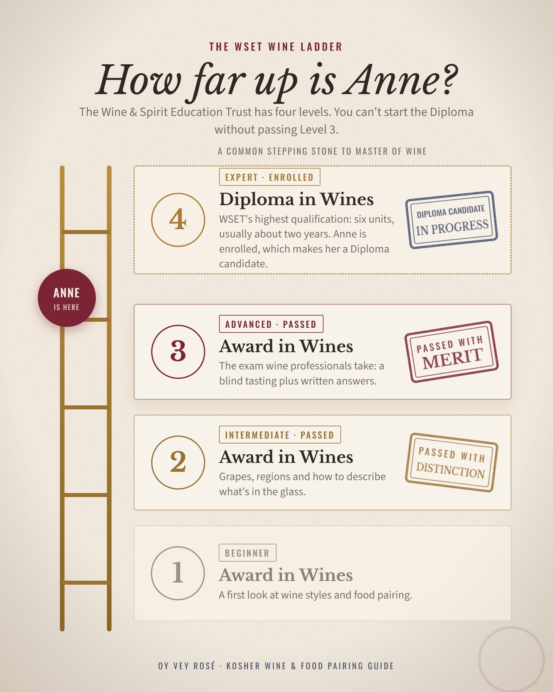 The WSET wine ladder: Level 1 Beginner, Level 2 Intermediate (passed with Distinction), Level 3 Advanced (passed with Merit), Level 4 Diploma (Expert, stamped In Progress: Anne is a Diploma candidate), with a marker showing Anne between Level 3 and the Diploma.