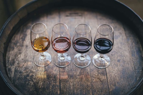 Meet the Sip Savant: Your Guide to the Finest Kosher Wines