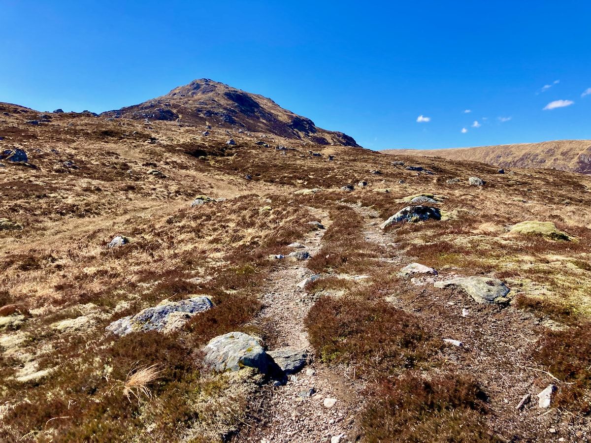 Ein steiniger Weg führt zu einem Gipfel