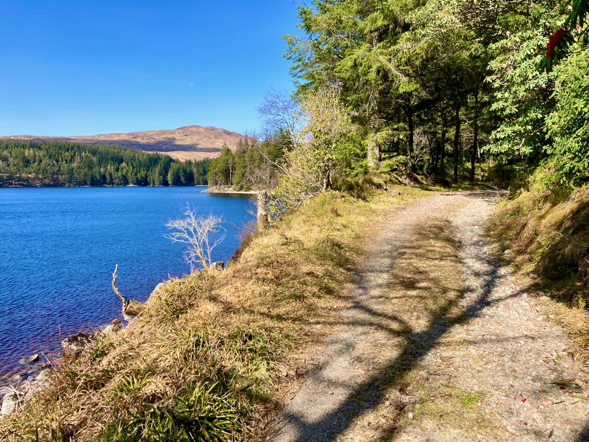 Der Weg am Loch Ossian, im Hintergrund Bäume