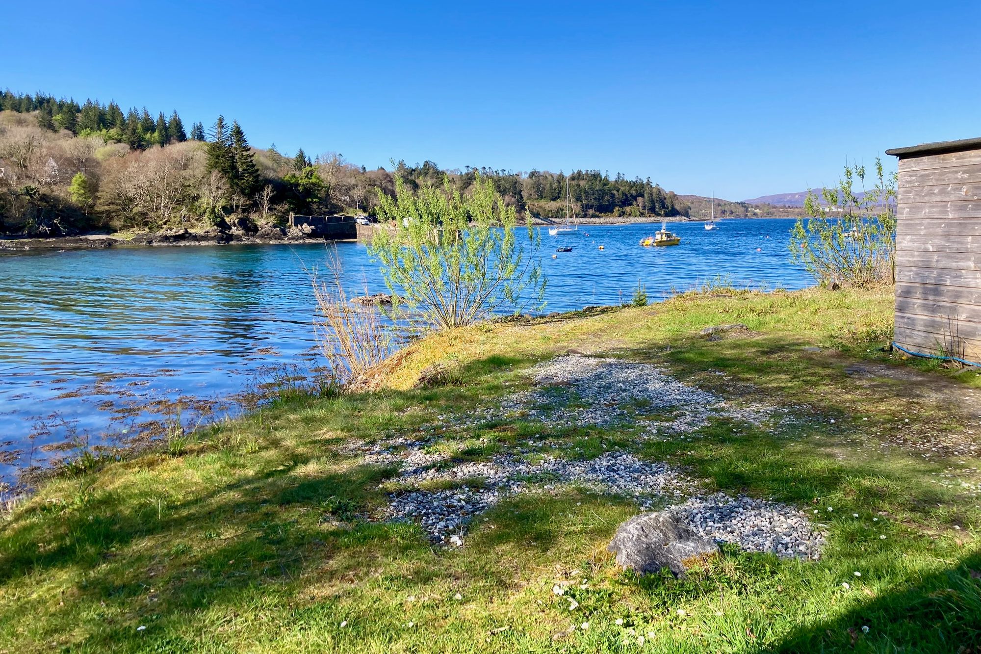 Bild: Frühlingshafte Szenerie mit Gras und Wasser