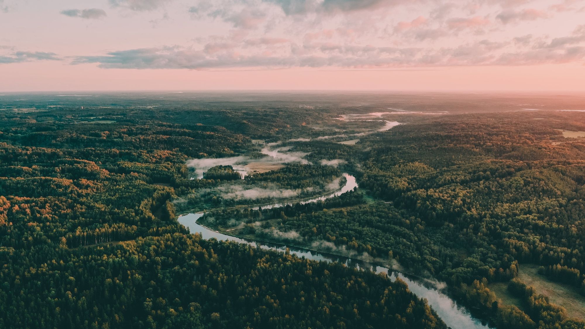Luftaufnahme vom Gauja-Nationalpark mit dem mäandernden Fluss Gauja