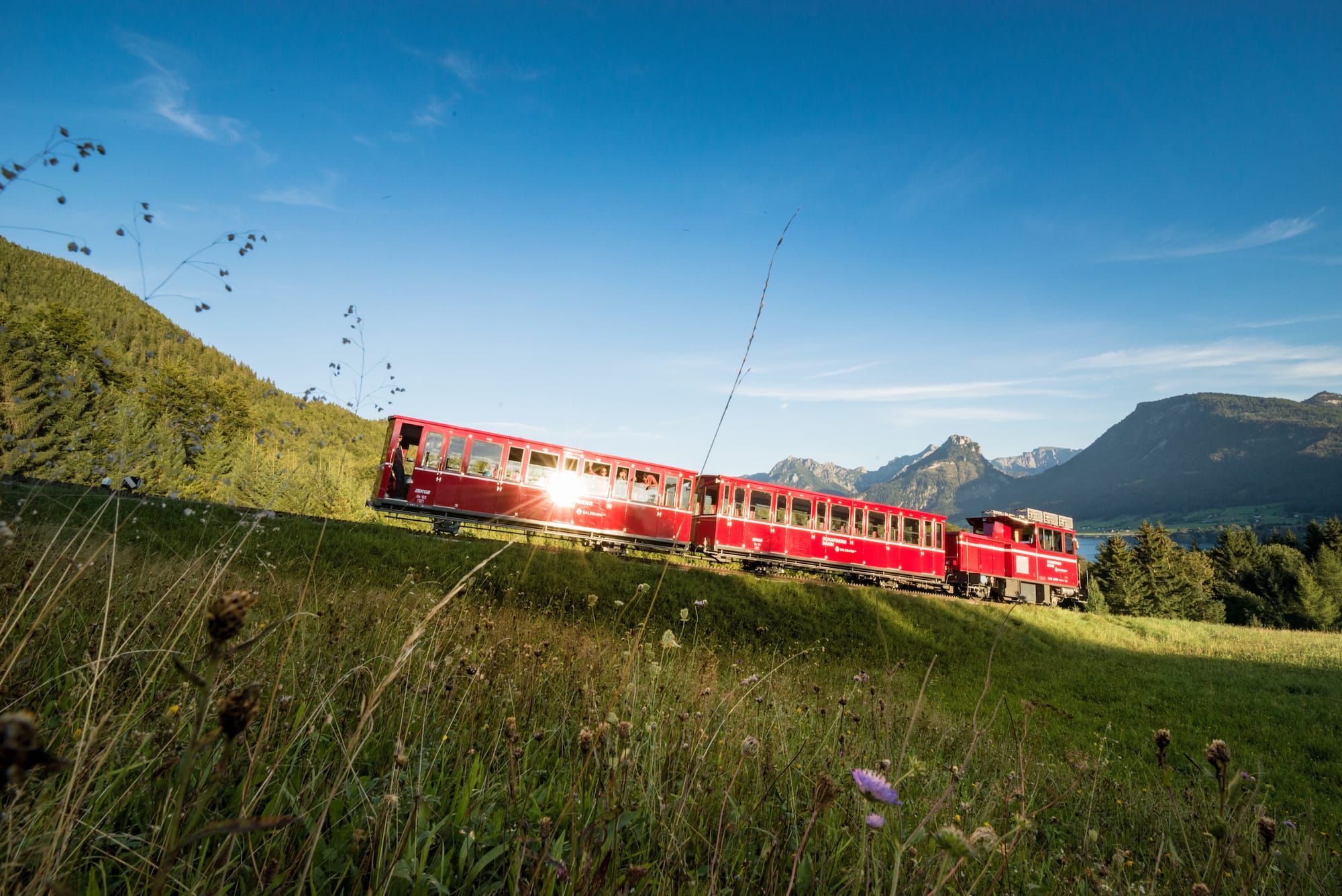 Zug der Schafbergbahn in sommerlicher Berglandschaft