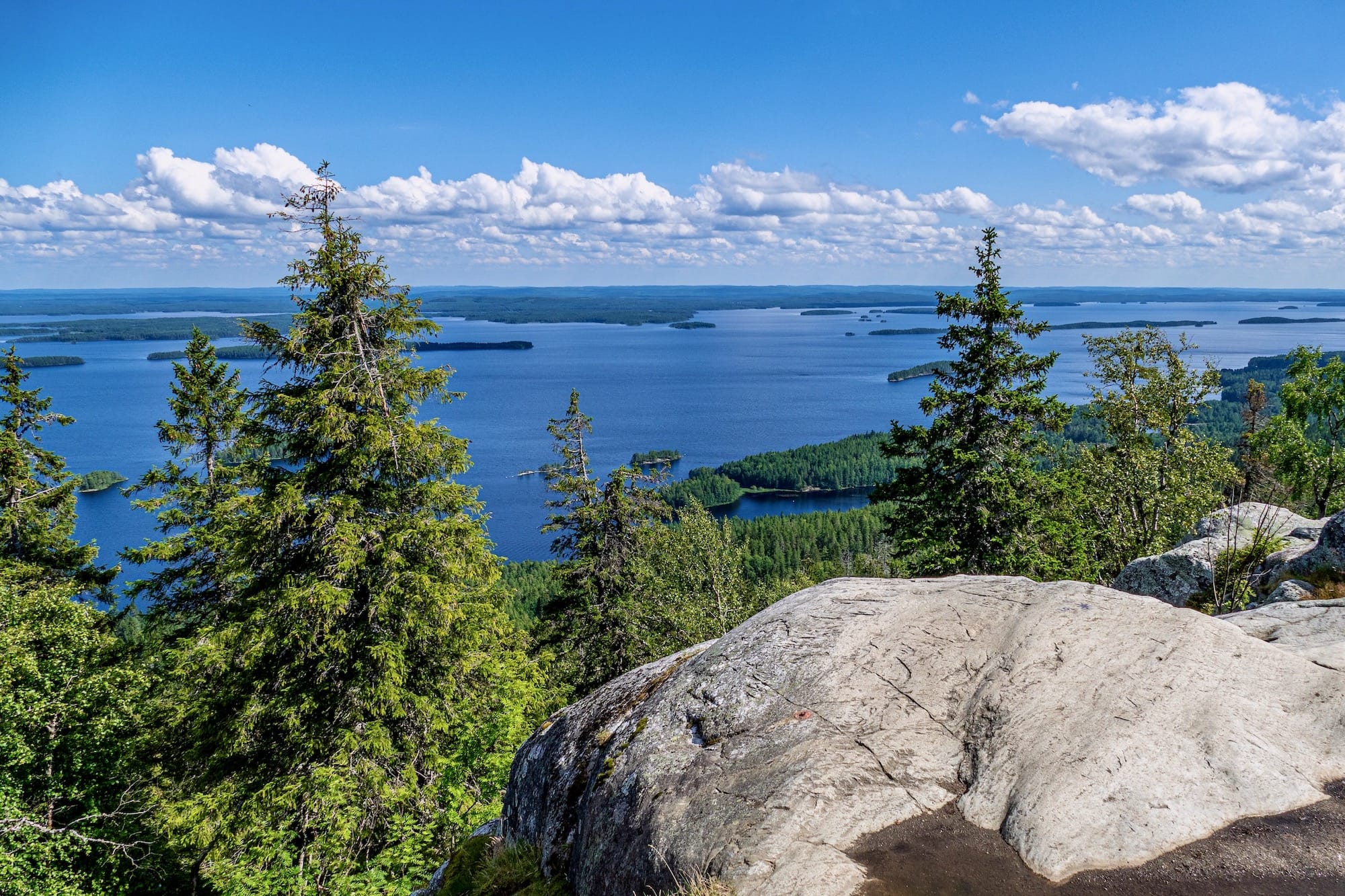 Aussicht vom Koli auf den See Pielinen