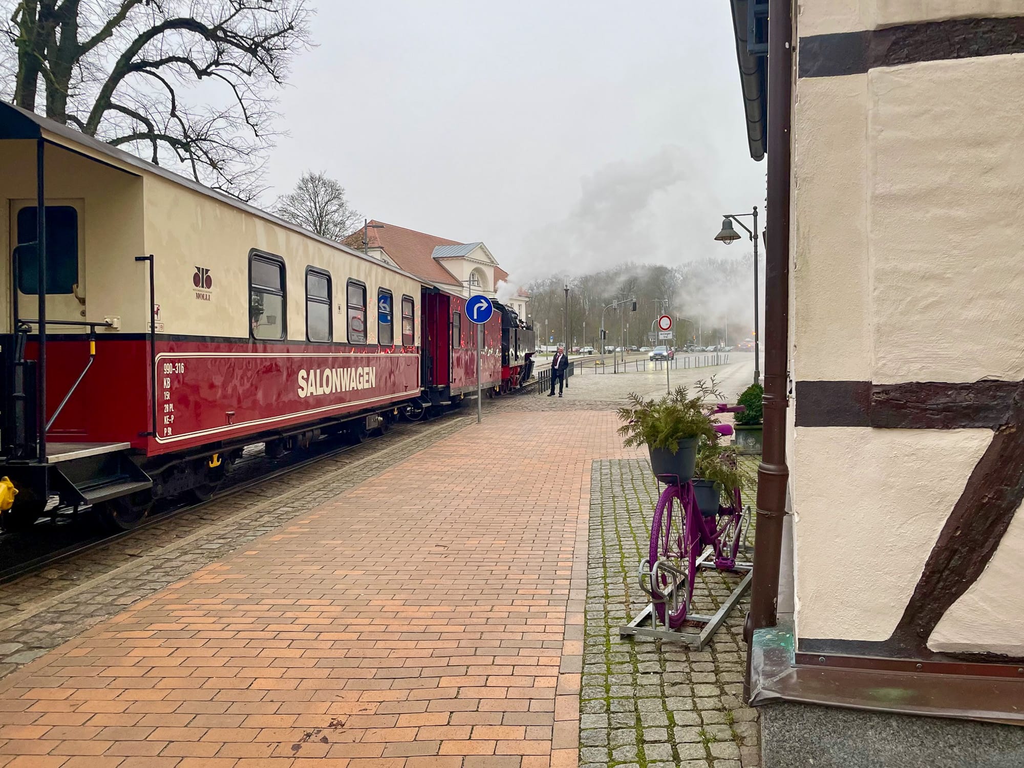 Zug der Molli in Bad Doberan